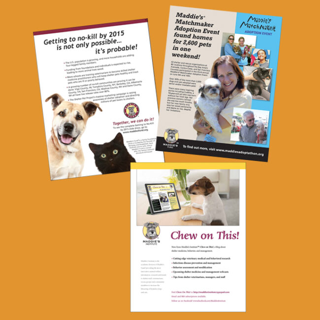 Print & Online Ads